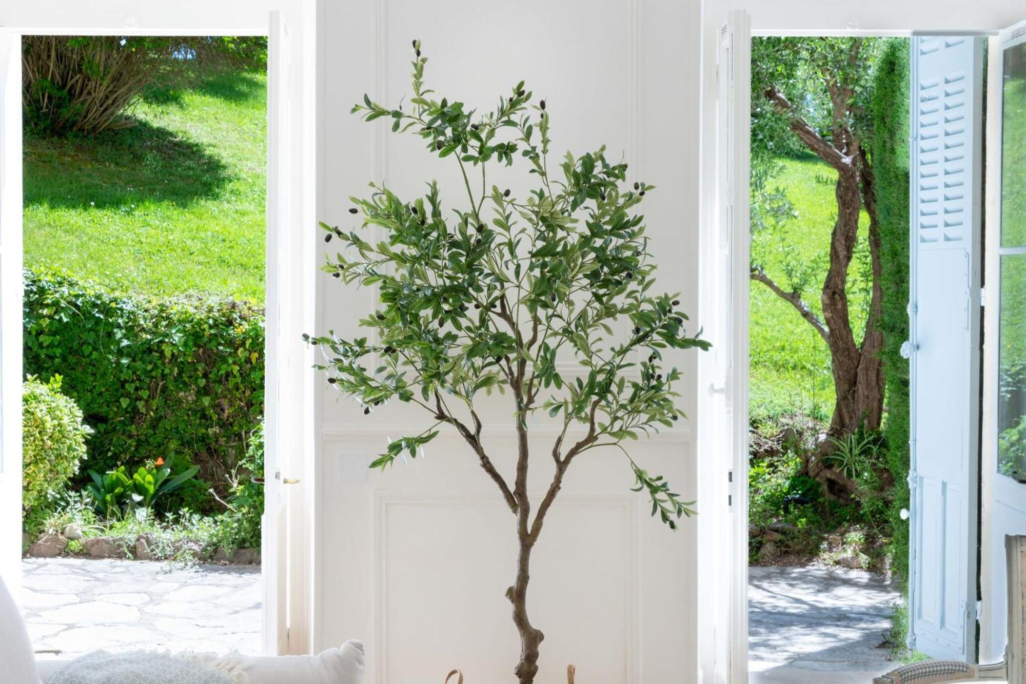 Garden-level In Bourgeois Near Croisette & Beaches * Cannes